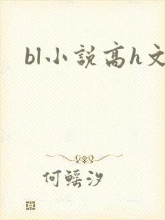 bl小说高h文