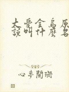 大爱金乌原著小说叫什么名字封面