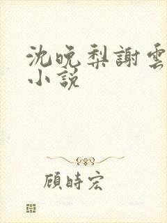 沈晚梨谢云迟 小说