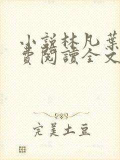 小说林凡叶惜免费阅读全文最新封面