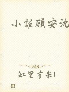 小说顾安沈清