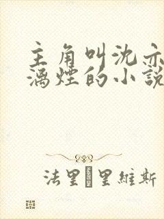 主角叫沈亦安叶漓烟的小说