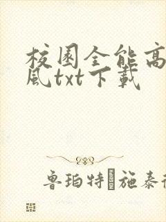 校园全能高手季风txt下载