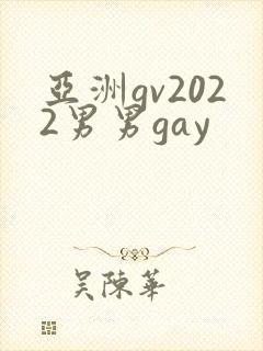 亚洲gv2022男男gay封面