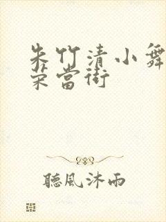 朱竹清小舞宁荣荣当街