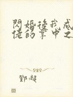 闪婚后我成了大佬的掌中之物17