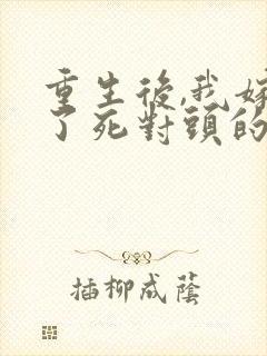 重生后,我嫁给了死对头的未婚夫全