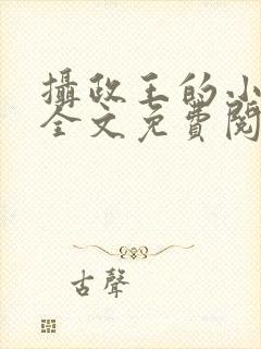 摄政王的小王妃全文免费阅读