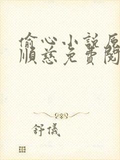 偷心小说原著李顺慈免费阅读