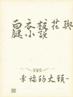 白衣校花与大长腿小说