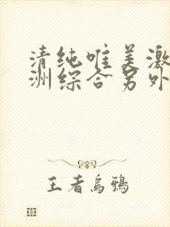 清纯唯美激情亚洲综合另外封面