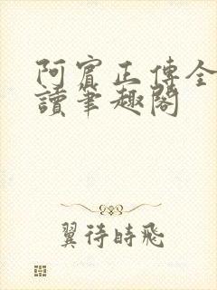 阿宾正传全文阅读笔趣阁