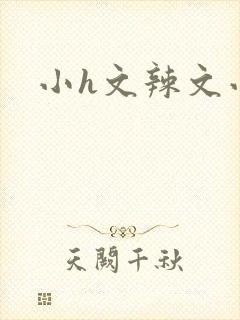 小h文辣文小说封面