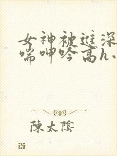 女神被进深处娇喘呻吟高h小说封面
