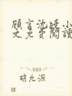 顾言沈晓小说全文免费阅读