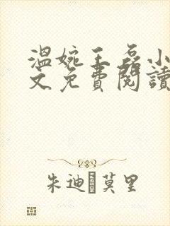 温婉王磊小说全文免费阅读无弹窗