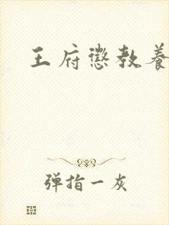 王府惩教养日常