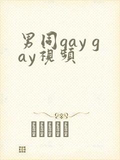 男同gay gay视频
