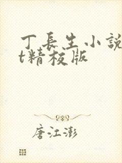 丁长生小说txt精校版