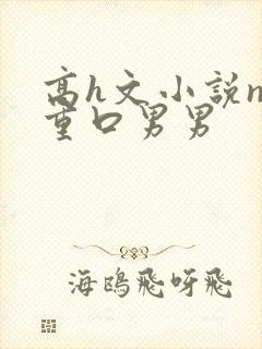 高h文小说np重口男男