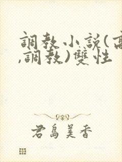 调教小说(高h,调教)双性