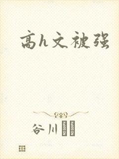 高h文被强