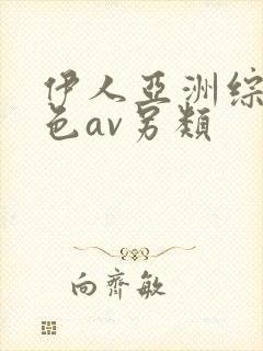 伊人亚洲综合网色av另类