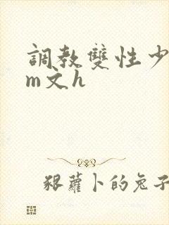 调教双性少年sm文h