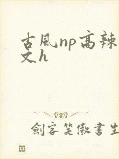 古风np高辣爽文h