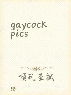 gaycockpics封面