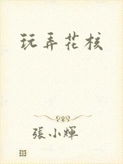 玩弄花核封面