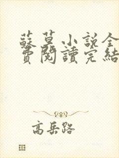 苏莫小说全文免费阅读完结篇