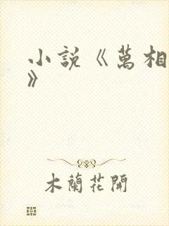 小说《万相之王》