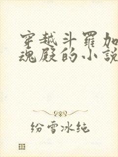 穿越斗罗加入武魂殿的小说