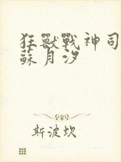 狂兽战神司空靖苏月汐封面
