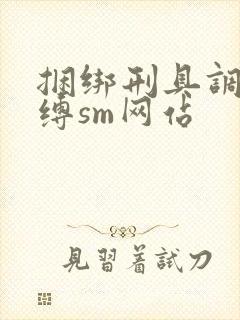 捆绑刑具调教束缚sm网站