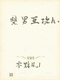 双男互攻h小说封面