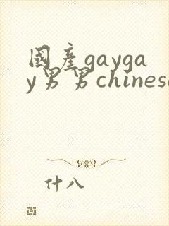 国产gaygay男男chinese