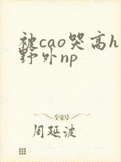 被cao哭高h野外np封面