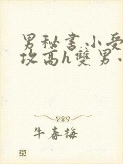 男秘书小受引诱攻高h双男小说