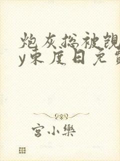 炮灰总被觊觎by东度日免费阅读