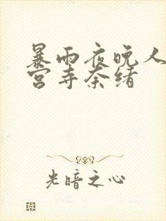 暴雨夜晚人妻神宫寺奈绪封面