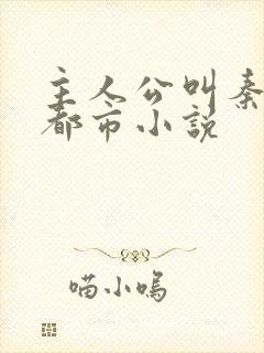 主人公叫秦昊的都市小说