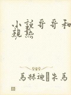 小说哥哥和弟弟亲热