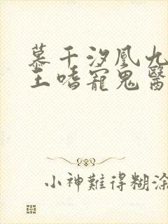 慕千汐凰九夜邪王嗜宠鬼医狂妃