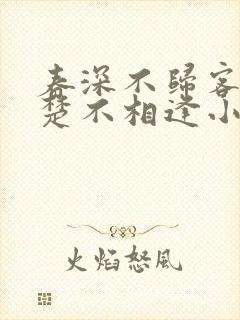 春深不归客,清楚不相逢小说封面
