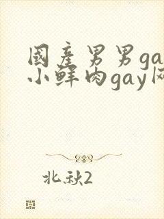 国产男男gay小鲜肉gay网站亚洲
