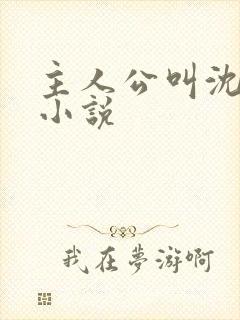 主人公叫沈晴的小说