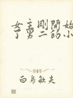 女主刚开始嫁给了男二的小说