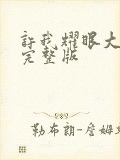 许我耀眼大结局完整版